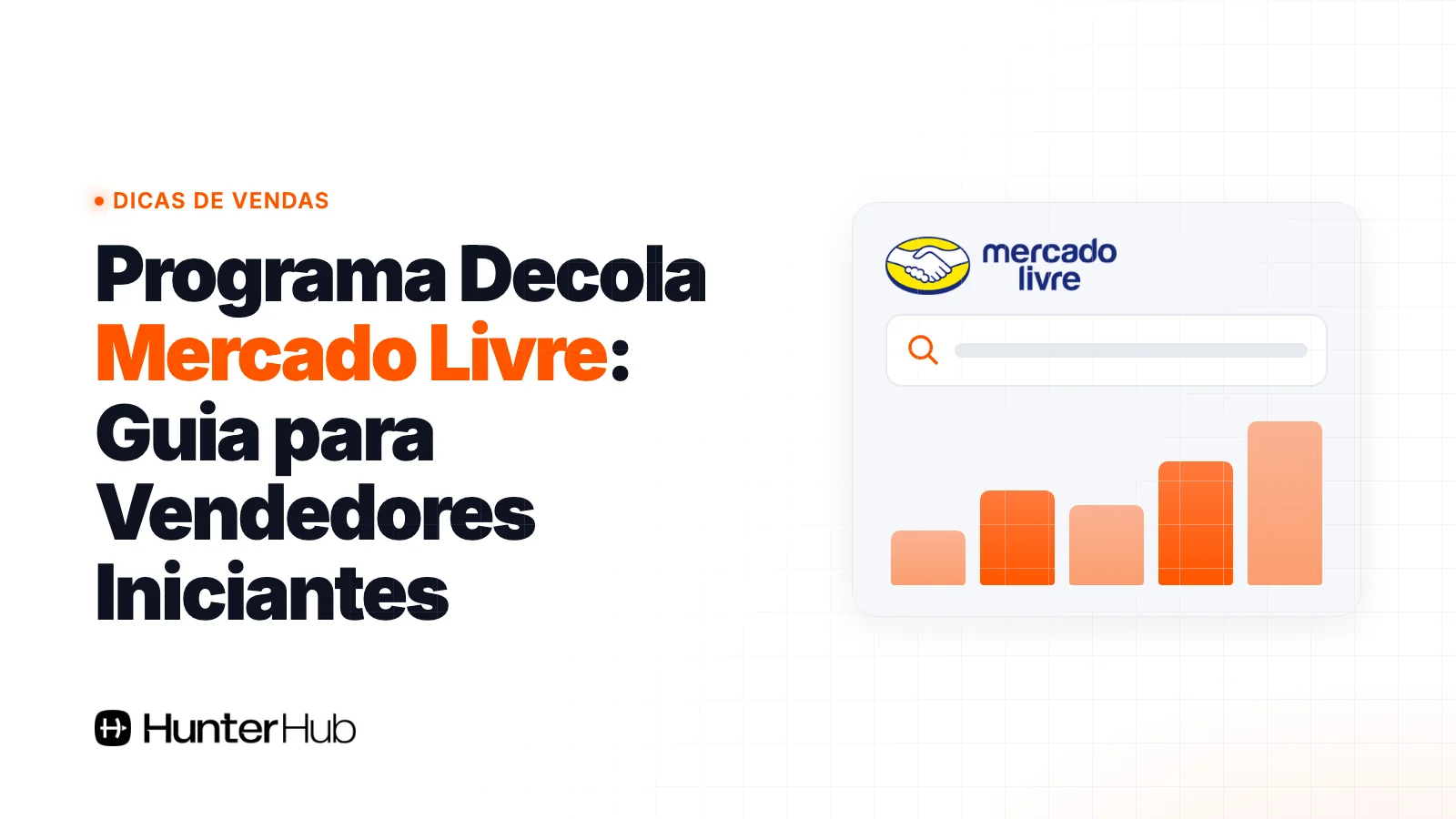 Programa Decola Mercado Livre: Guia para Vendedores Iniciantes